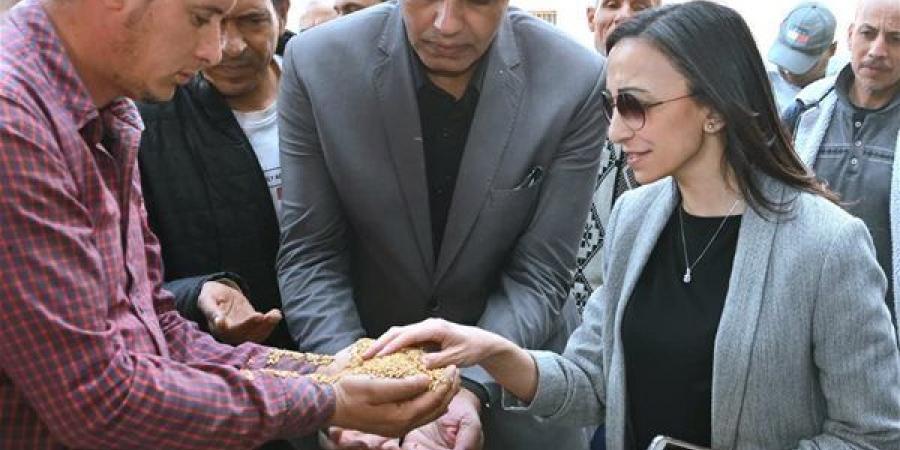 محافظ البحيرة تتفقد أعمال توريد القمح بصومعة زاوية غزال