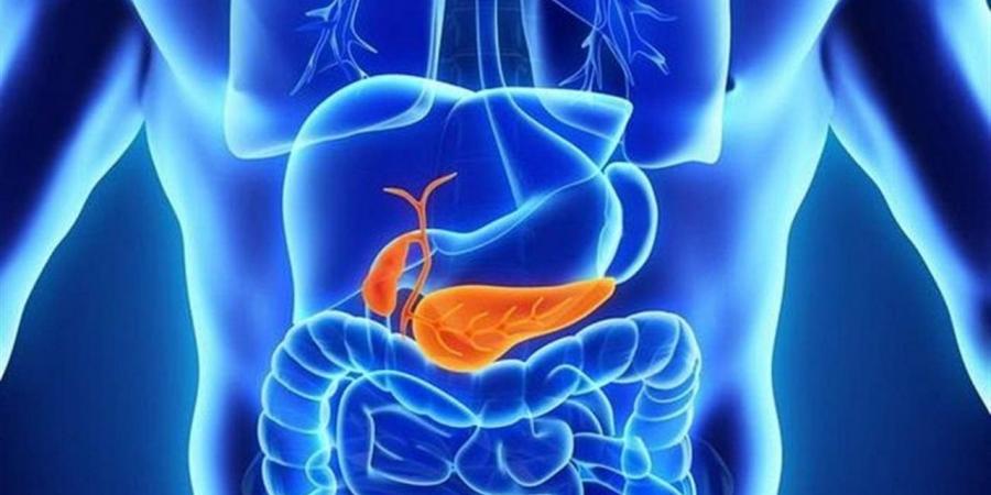 ابتكار دواء يستهدف السبب الرئيسي لسرطان البنكرياس