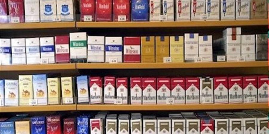 أسعار السجائر اليوم السبت 18 أبريل 2026 في مصر.. قائمة محدثة