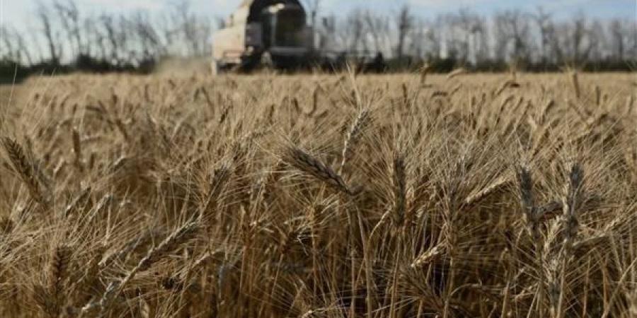 عاجل.. روسيا ترسل شحنة قمح إلى إيران عبر بحر قزوين