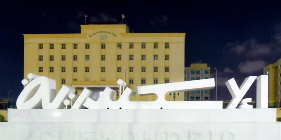 “التوفير يبدأ من البيت” حملة محافظة الإسكندرية لخفض استهلاك الطاقة بالمطابخ