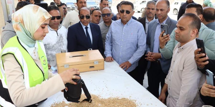 محافظ القليوبية يتفقد منظومة توريد القمح ببنها.. وصرف المستحقات خلال 48 ساعة