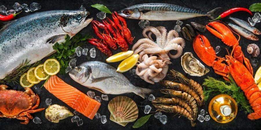 أسعار الأسماك اليوم في الدقهلية.. اعرف التفاصيل