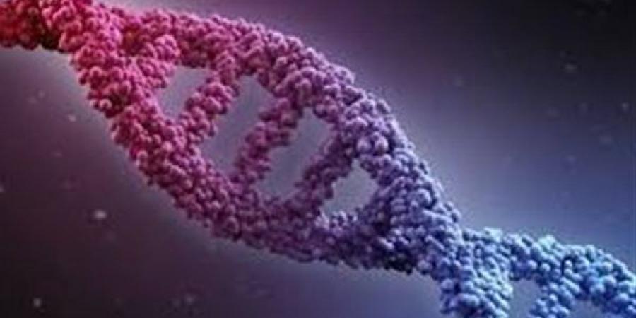 تشريعية النواب: الـ DNA كلمة السر في قضايا النسب القادمة