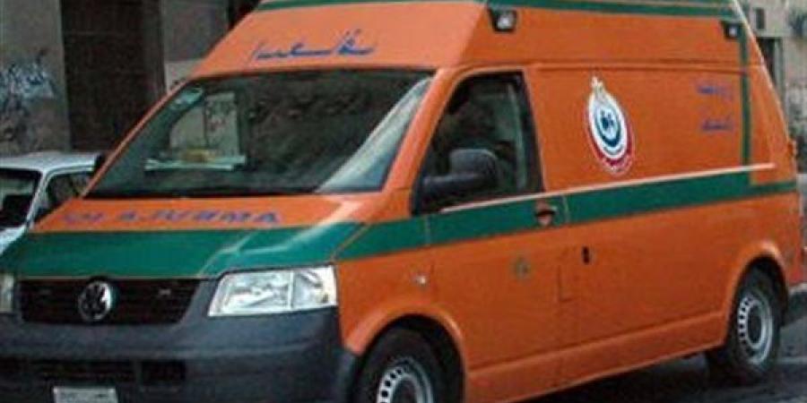 القبض على مستأجر مزرعة لاتهامه بالتنقيب عن الآثار والتسبب في مصرع شابين