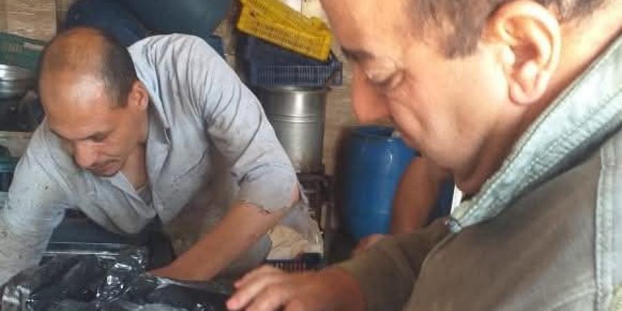 ضبط 88 كيلو لحوم فاسدة بمعمل تجهيز المطاعم بالفيوم