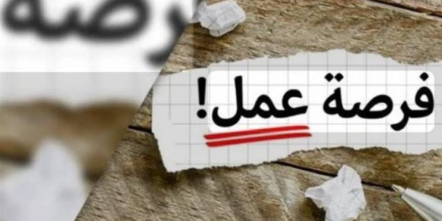 برواتب مجزية.. فرص عمل جديدة للشباب في 13 محافظة (التفاصيل)