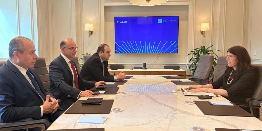 وزيرالاستثمار : التحول الرقمي ضرورة استراتيجية لنمو قطاع التأمين