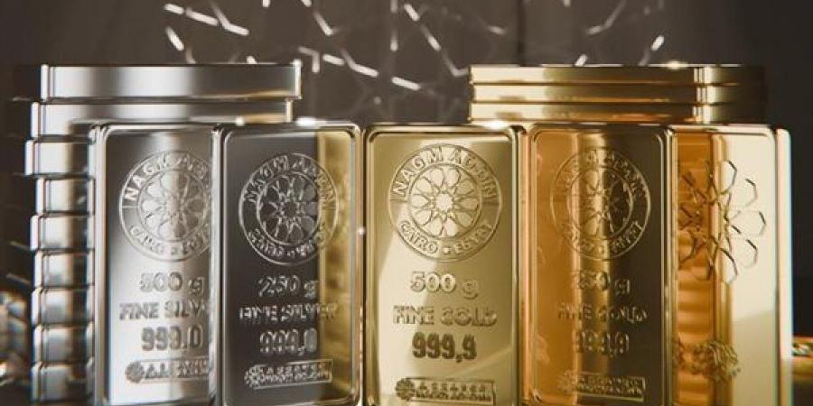 ‏محمود نجم الدين: القضاء على الفجوات السعرية أولوية لحماية العملاء