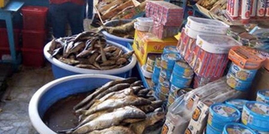 الخدمات البيطرية بالقليوبية والسويس تضبط 2 طن أسماك مملحة ومدخنة وقشريات فاسدة