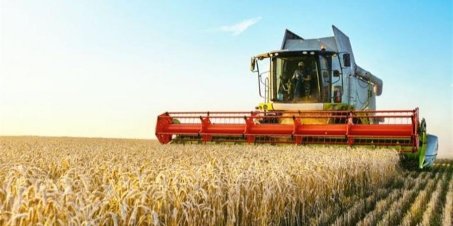 مركز المناخ: رياح قوية وارتفاع الحرارة وتوصيات عاجلة لحماية القمح والمحاصيل