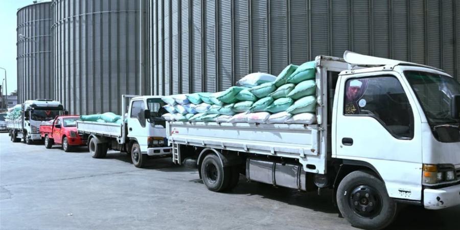 البحيرة: توريد 1255 طن قمح للصوامع والشون منذ انطلاق الموسم