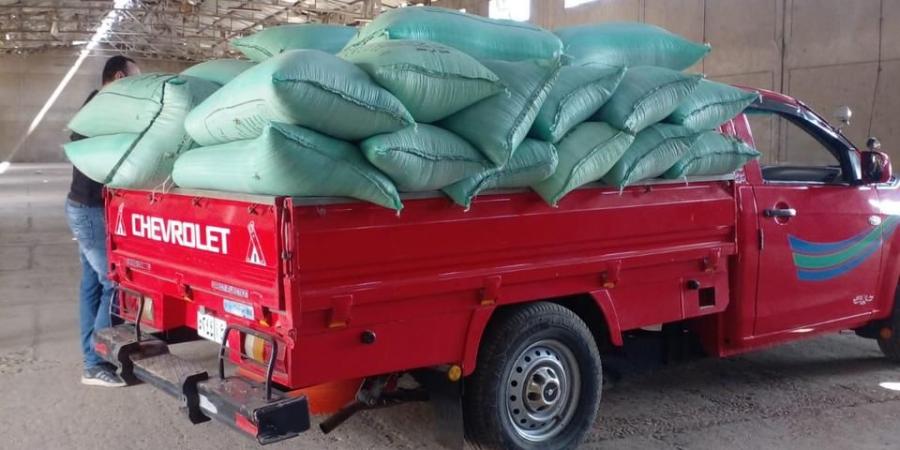 توريد 1301 طن قمح لمواقع التخزين والصوامع على مستوى الدقهلية