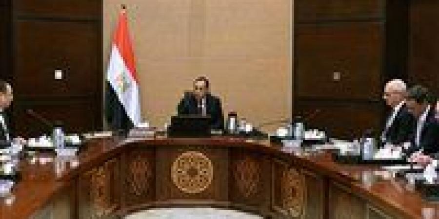 رئيس الوزراء يلتقي الرئيس التنفيذي لشركة "فاليو" الفرنسية