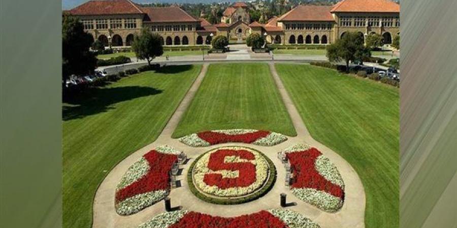 الذكاء الاصطناعى يعيد تشكيل اقتصاديات التقنية