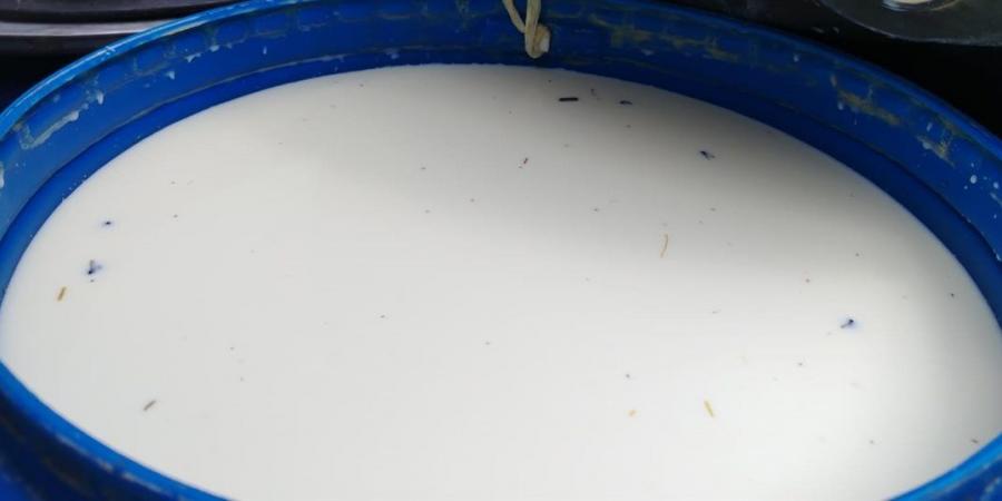 تحرير 125 مخالفة بالمخابز وضبط لحوم وأغذية فاسدة بكفر الشيخ