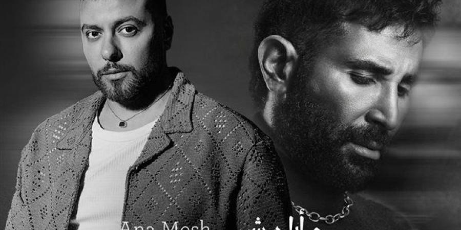 من شيرين إلى بوسي ثم أحمد سعد.. القصة الكاملة لأغنية «أنا مش فاهمني»