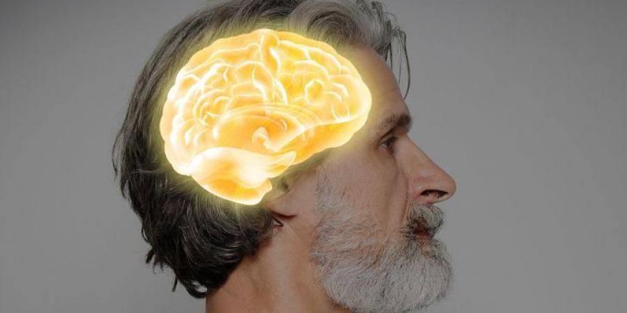 حماية العقل تبدأ بعادات بسيطة تقلل تدهور الدماغ مع التقدم في العمر