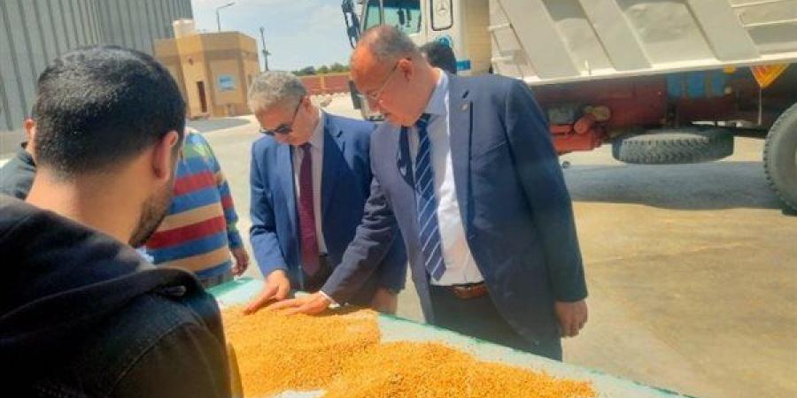 توريد 5730 طن قمح لصوامع وشون الشرقية