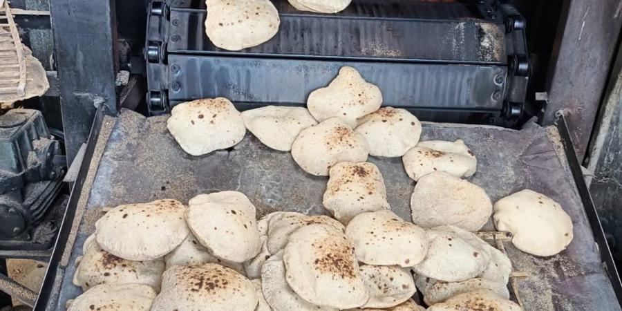 ضبط حالة تصرف في الدقيق وتحرير محاضر ضد مخابز بالفيوم