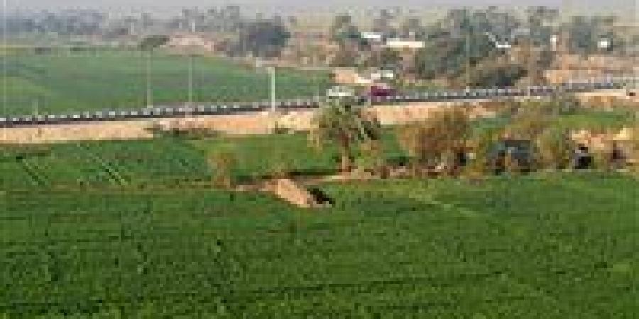 خاص| الأراضي الزراعية تتصدر قائمة الاستثمارات الأكثر أمانًا.. خبير اقتصادي يكشف الأسباب