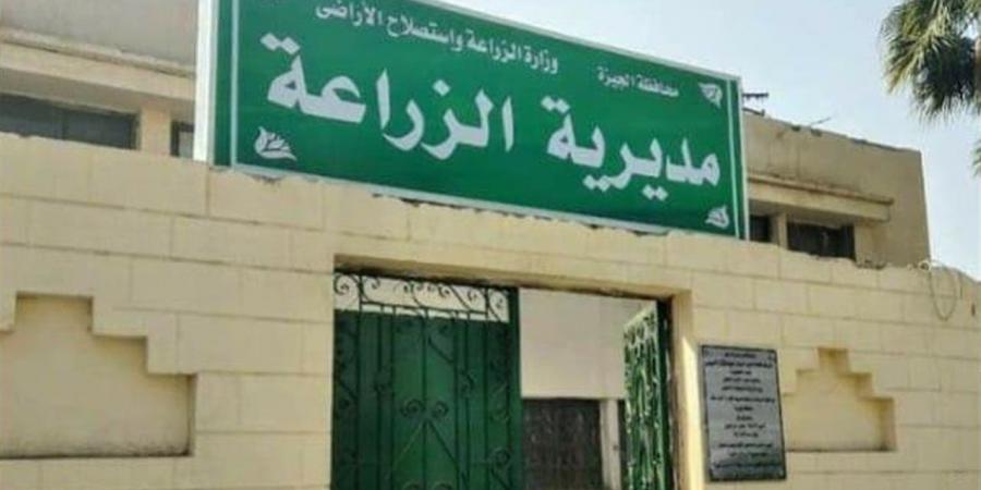 زراعة الجيزة: صرف تعويضات خط غاز السليمانية.. وإنجاز 50% من الأعمال بمنشأة القناطر