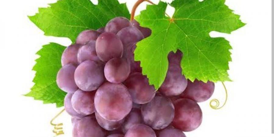 العنب بين الفوائد الصحية والتحذيرات لمرضى السكري