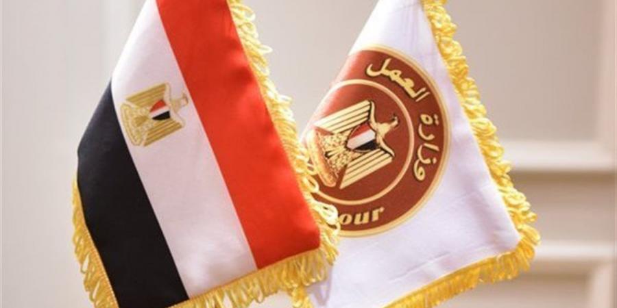 مديرية عمل القاهرة تنجح في إعادة عامل لعمله بعد تسوية ودية بمكتب حلوان