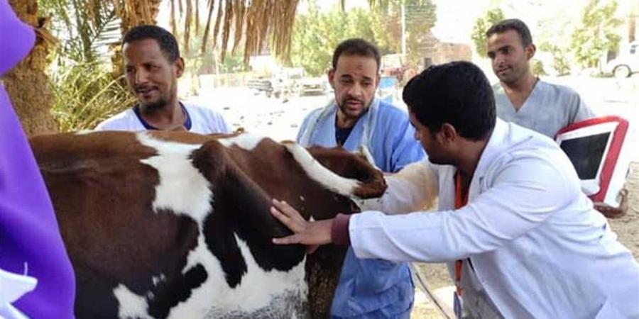 تدشين قافلة بيطرية مجانية لتعزيز الخدمات الزراعية بالمنوفية