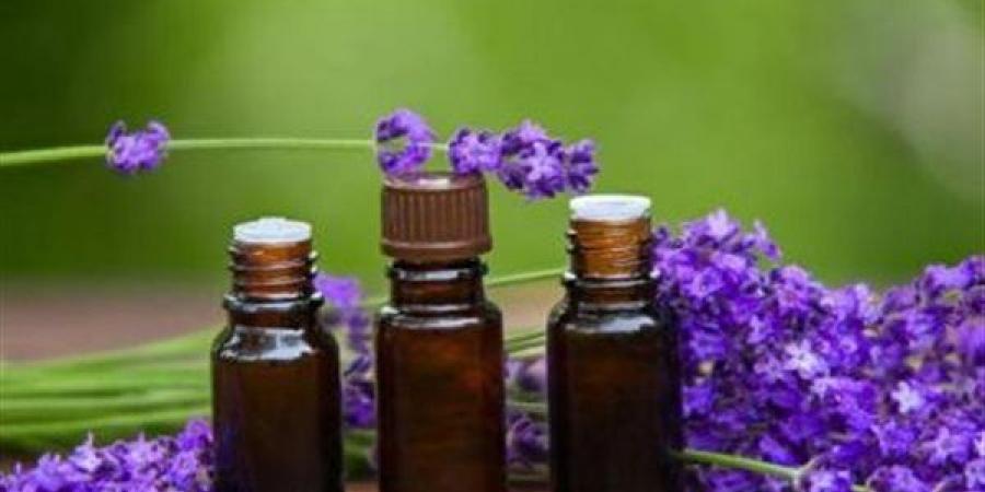 فوائد زيت اللافندر في الوصفات الطبيعية للبشرة والشعر