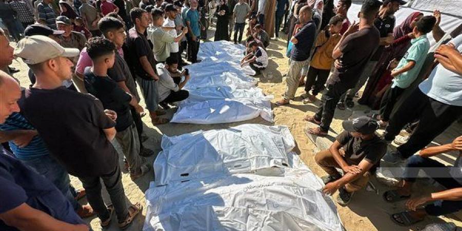 7 شهداء وإصابات واعتقالات في غزة والضفة الغربية