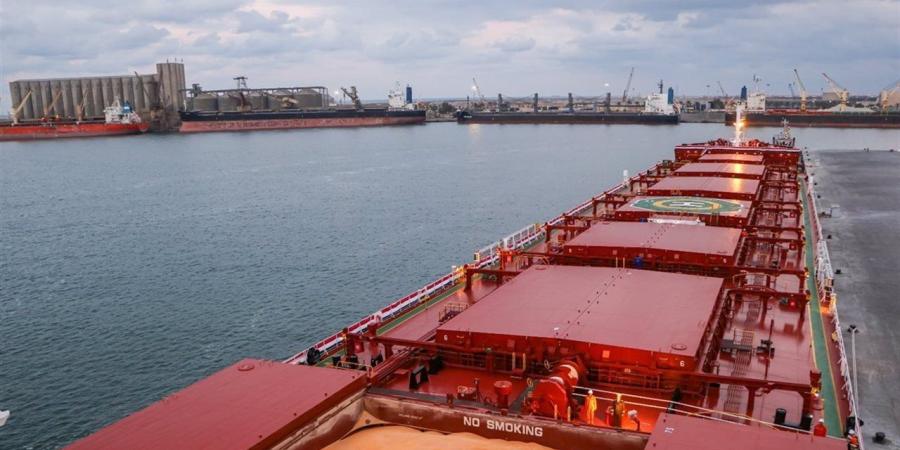 ميناء دمياط يستقبل ١١ سفينة وآلاف الأطنان من البضائع