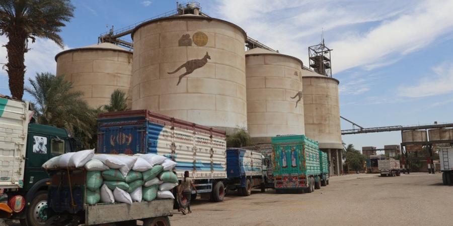 محافظ سوهاج يتفقد حصاد محصول القمح بأحد الحقول