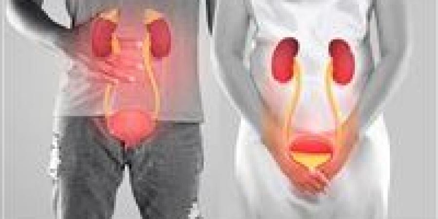 احتباس البول: الأسباب والأعراض وطرق العلاج المنزلي ومتى يصبح خطيراً فوراً التوجه