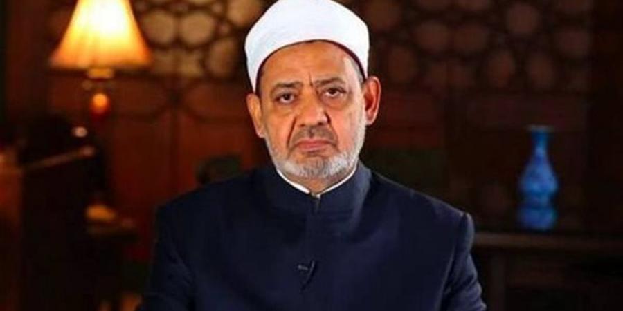 شيخ الأزهر يلتقي رئيس فنلندا ضمن برنامج زيارته الرسمية إلى مصر