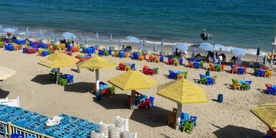 موكب احتفالي وفعاليات ومعارض فنية.. تفاصيل احتفالية "تأسيس الإسكندرية"