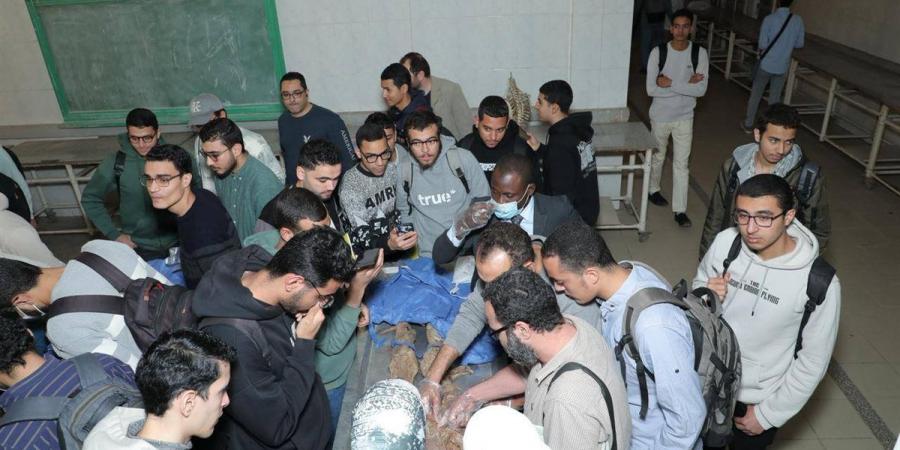 طب الأزهر بالقاهرة تعقد ورشة تشريح واستكشاف العصب الآنسي الوركي