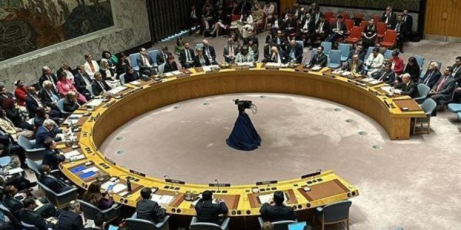 مجلس الأمن يدين مقتل جندي حفظ سلام فرنسي في اليونيفيل