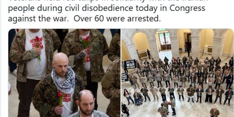 قدامى المحاربين الأمريكيين فى العراق يتظاهرون فى الكابيتول رفضا لحربى إيران وغزة