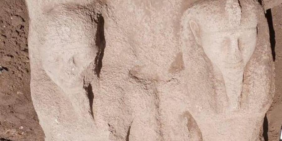 الكشف عن تمثال ضخم بمنطقة تل فرعون بمحافظة الشرقية