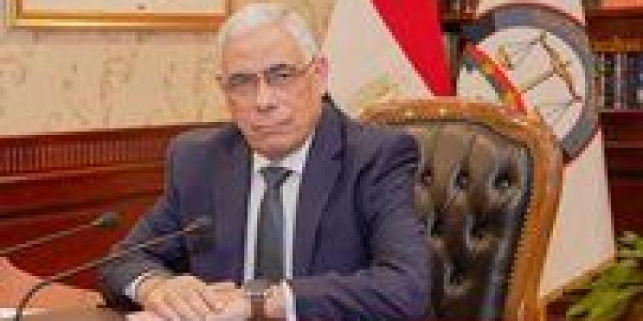 من المضبوطات إلى سبائك.. النيابة تسلم طنًا و200 كيلو فضة لوزارة المالية