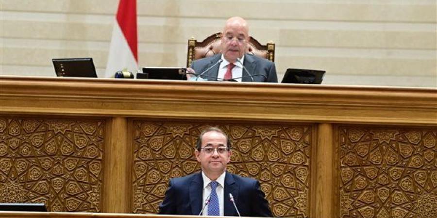 وزير المالية: الموازنة الجديدة تدعم المواطن وتدفع النمو الاقتصادي وتخفض الدين