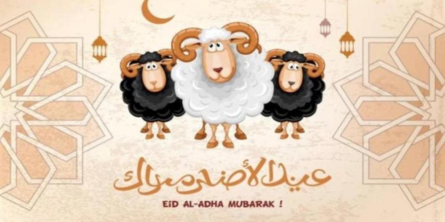 موعد هلال ذي الحجة 2026 في مصر وتفاصيل وقفة عرفات وعيد الأضحى فلكيًا