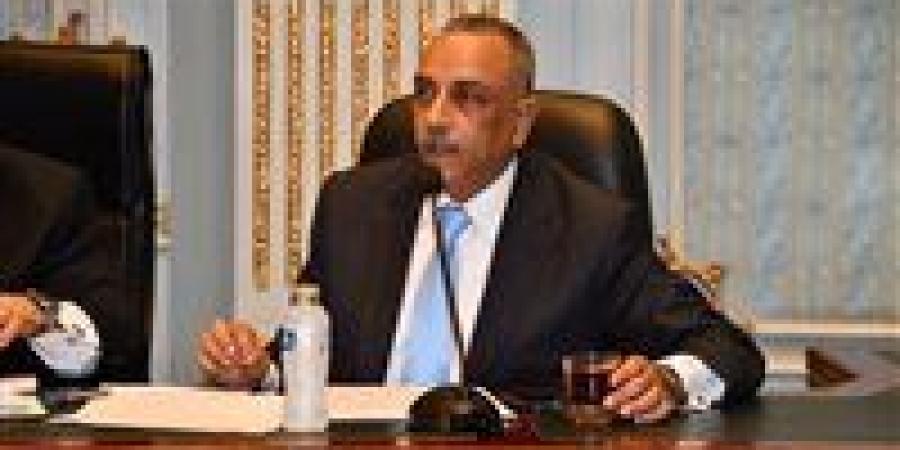 بالتوافق.. اختيار الطماوي أمينًا للجنة التشريعية بالمجلس القومي لحقوق الإنسان