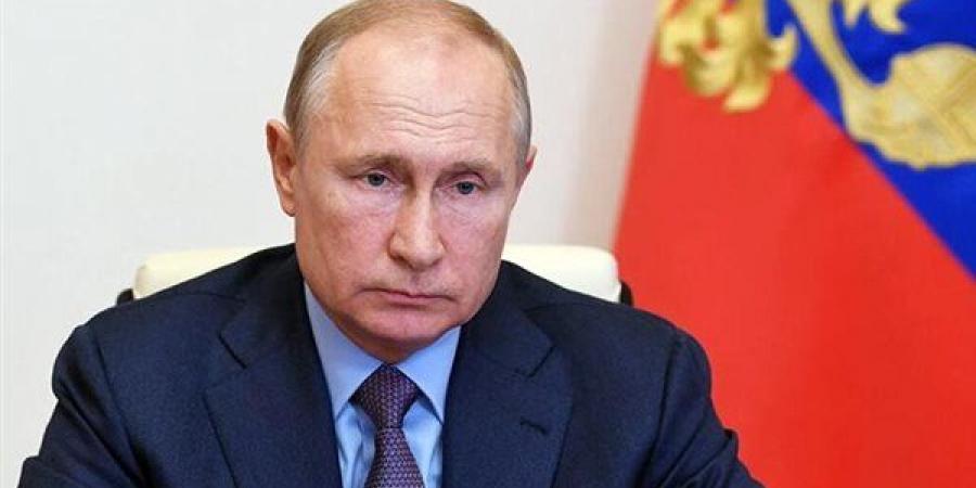 بوتين يكرّم نجوم القتال والملاكمة.. وسام رسمي تقديراً للإنجازات الرياضية