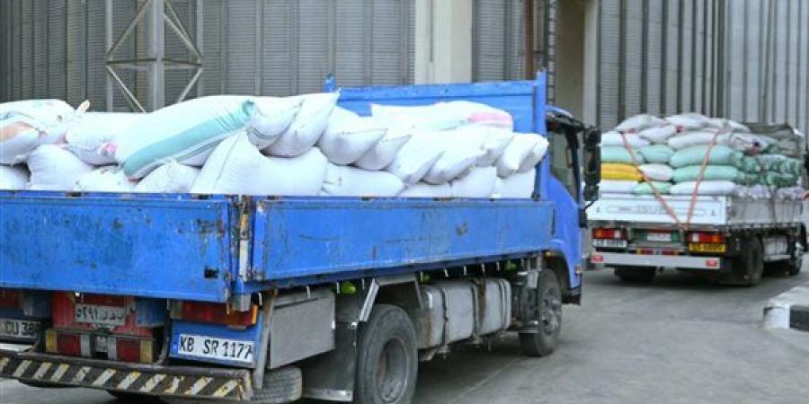 39 موقعًا مجهزًا لتوريد القمح بالبحيرة