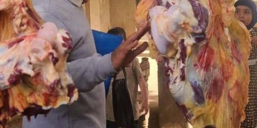 ضبط 277 كيلو لحوم ومنتجات غذائية فاسدة بالمنيا