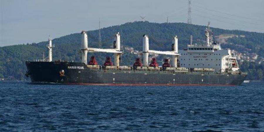 تصدير 50 الف طن فوسفات للصين عبر ميناء سفاجا