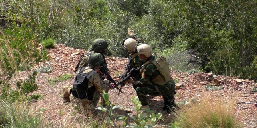 ختام فعاليات التدريب المصري الباكستاني المشترك "رعد _2".. صور