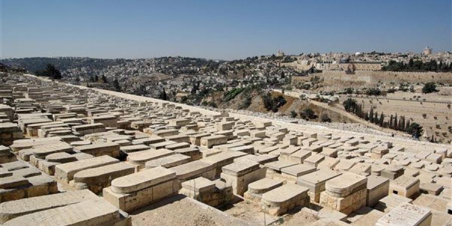 بعد تضررالأهالي.. تحرير 280 حالة إزالة إدارية و148 محضر بمنطقة ترب اليهود بالقاهرة